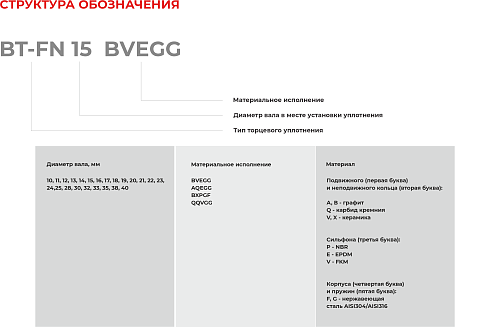 Торцевое уплотнение BT-FN 40 QQVGG в Нижнем Новгороде фото